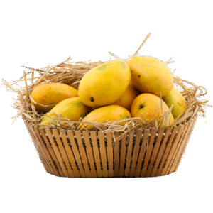 100% Premium Quality Garden Fresh Mango