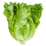 Whole Foods Market, Romaine Hearts Salad Bag Organic